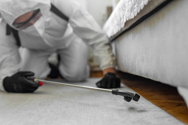 Professional Ant Control technician working in Howard City, MI