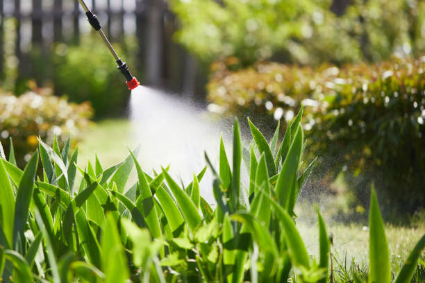 24/7 Emergency Ant Control experts in Howard City, MI