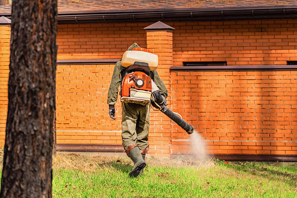 Trusted Mosquito Control service in Howard City, MI - Nex Pest Control